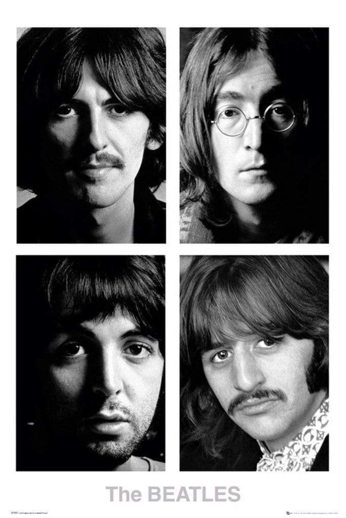 Poster The Beatles - White Album 61x91,5cm