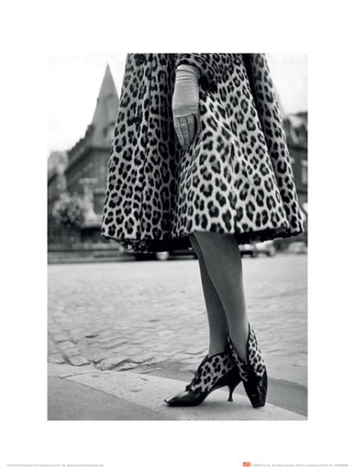 Kunstdruck Time Life - Dior Leopard Print 30x40cm