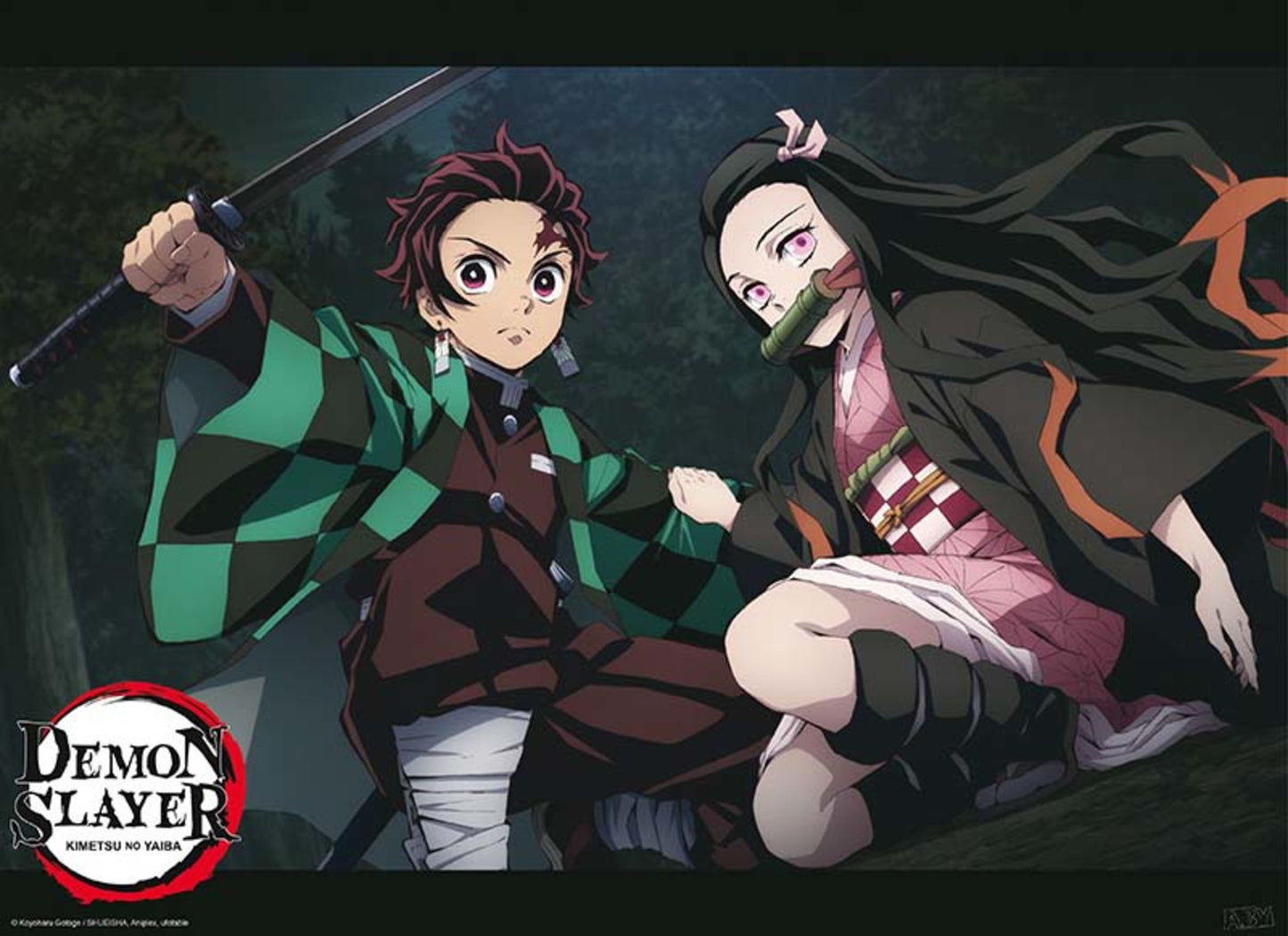 Poster Demon Slayer - Tanjiro And Nezuko Fight Position 52x38cm