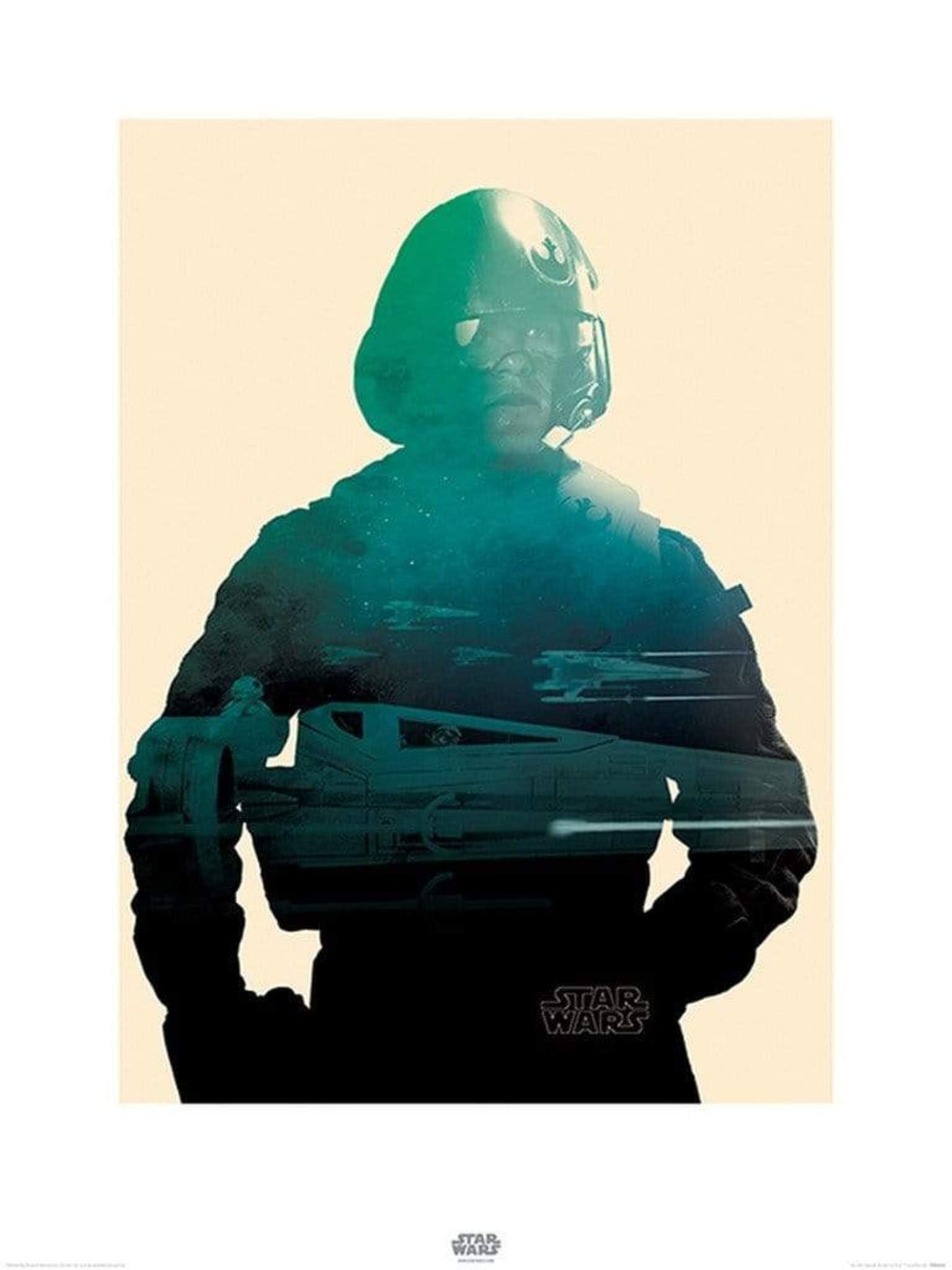 Kunstdruck Star Wars - Episode VII Poe Tri 60x80cm