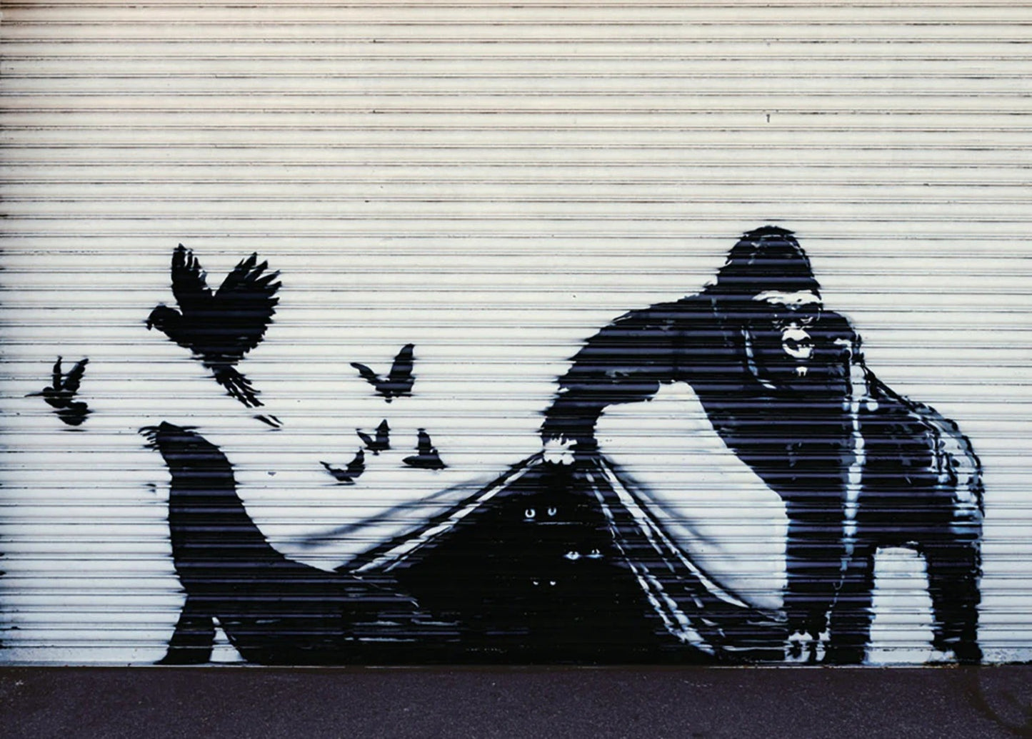 Kunstdruck Banksy - Gorilla London Zoo 70x50cm