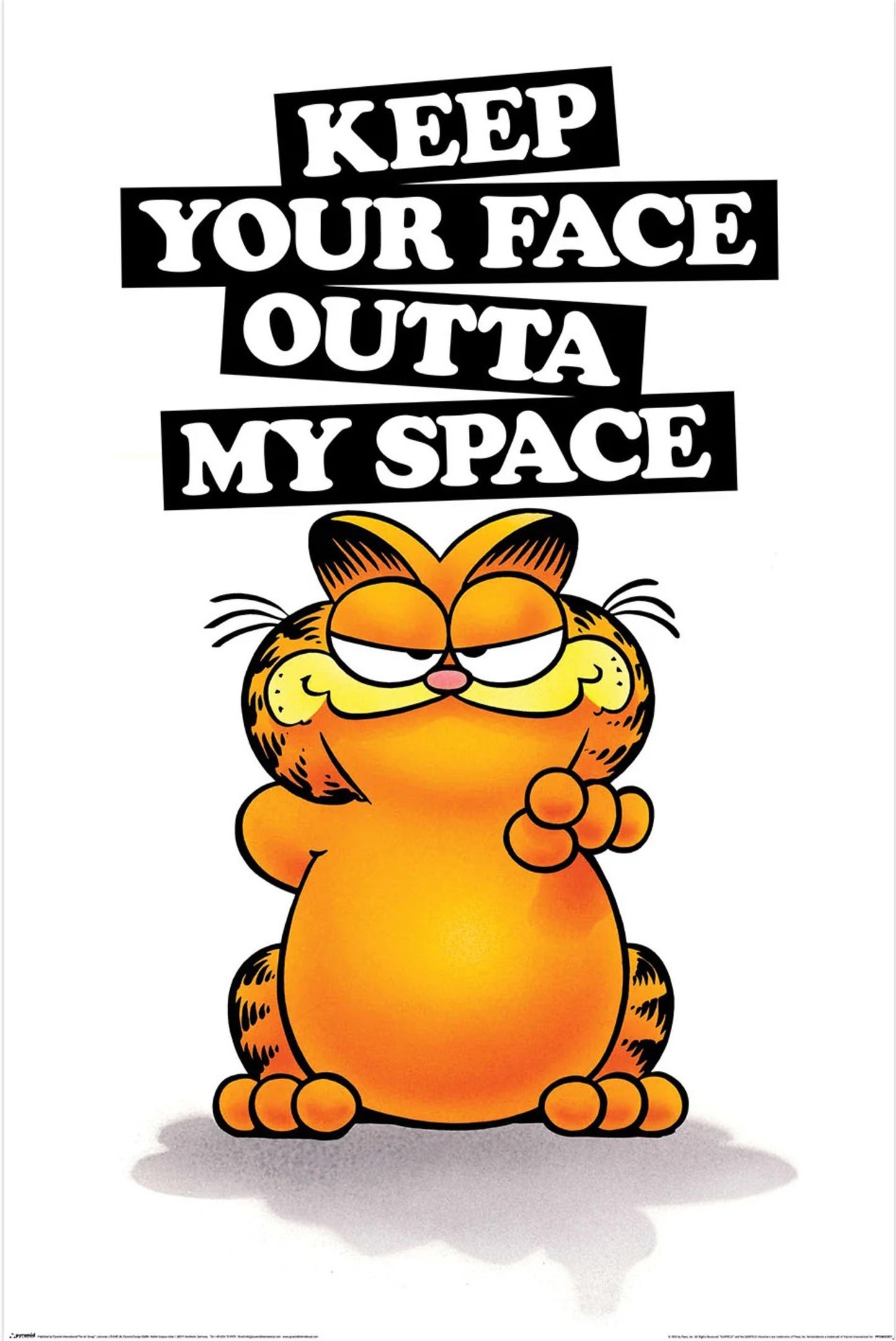 Poster Garfield - Keep Your Face 61x91,5cm