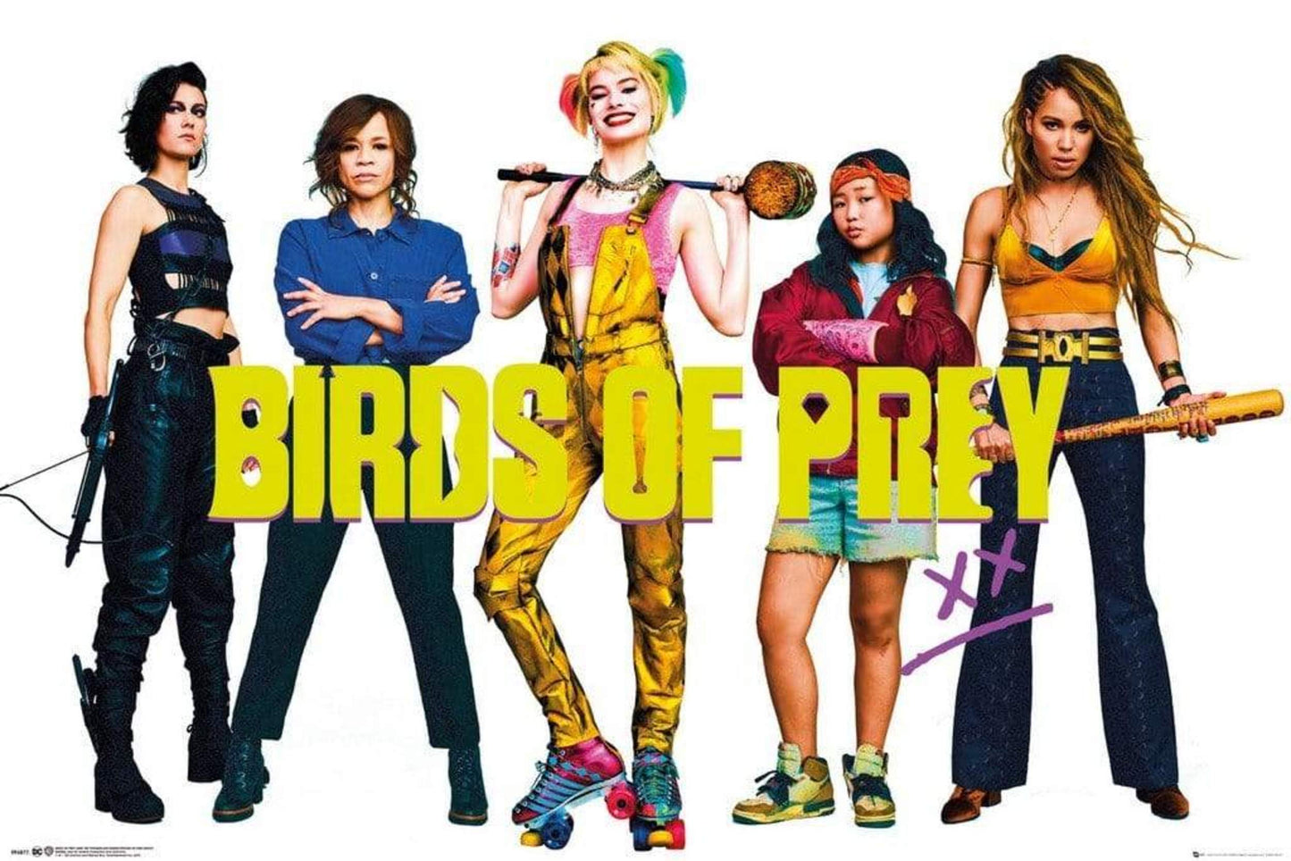 Poster Birds of Prey Group 91,5x61cm