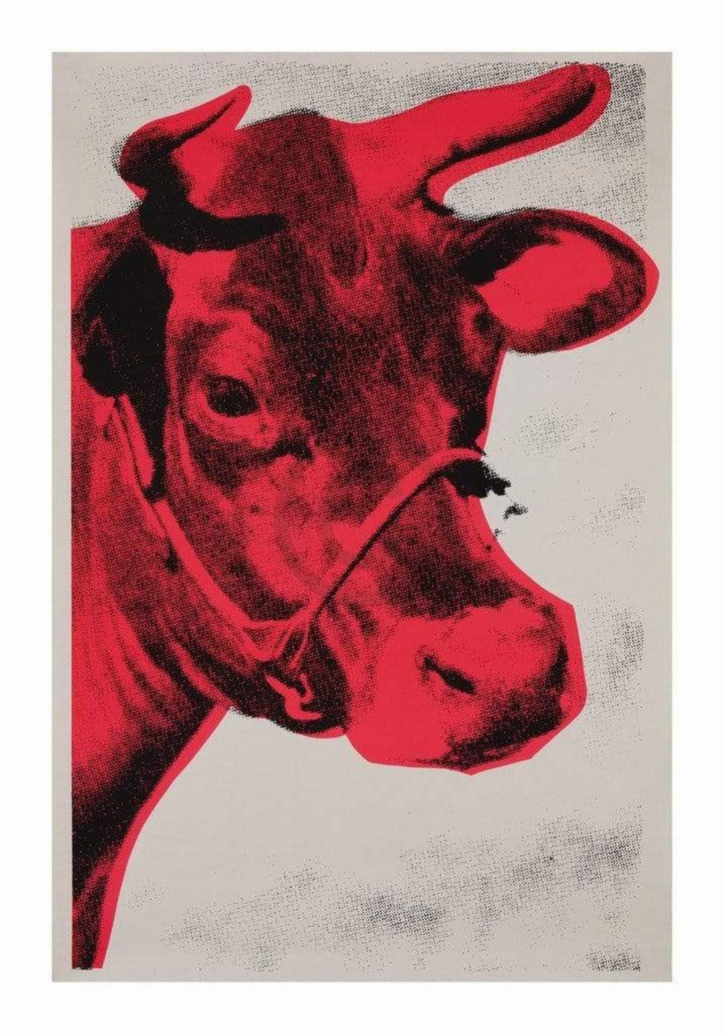 Kunstdruck Andy Warhol - Cow 1976 70x100cm