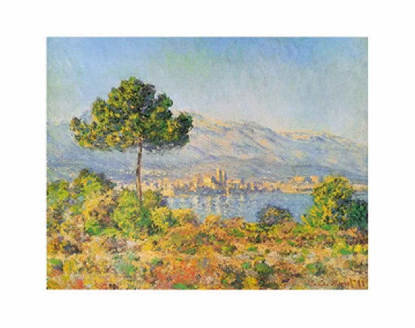 Kunstdruck Claude Monet - Antibes, 1888 71x56cm