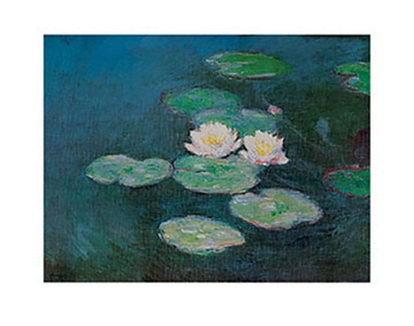 Kunstdruck Claude Monet - Seerosen 71x56cm