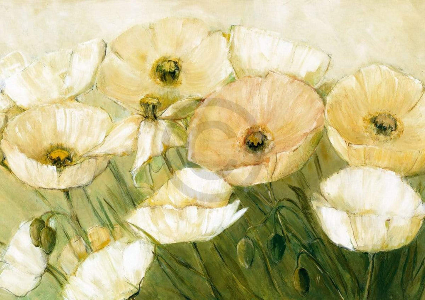 Kunstdruck Elisabeth Krobs - Tender Poppies 29.7x21cm