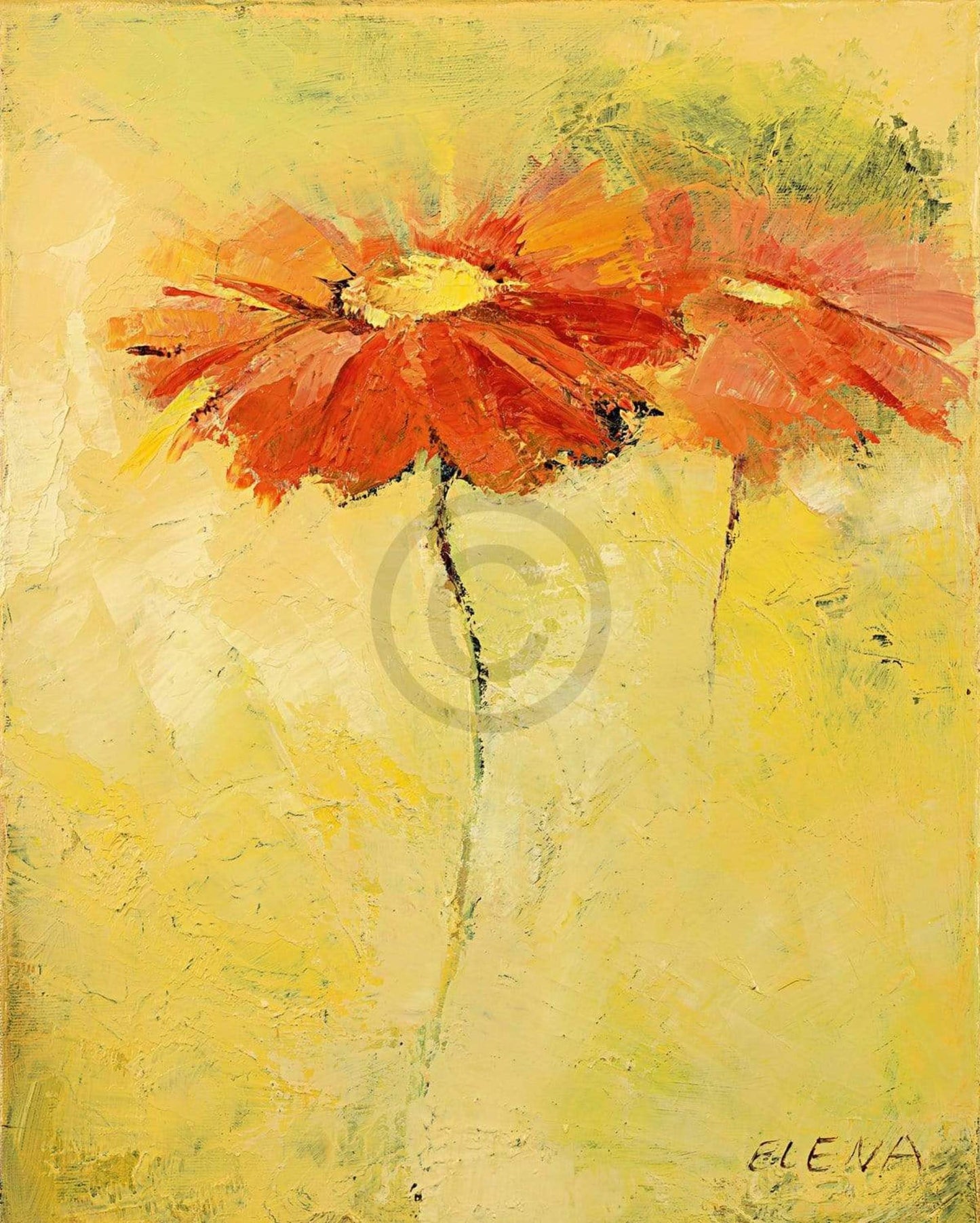Kunstdruck Elena Filatov - Feldblumen I 40x50cm