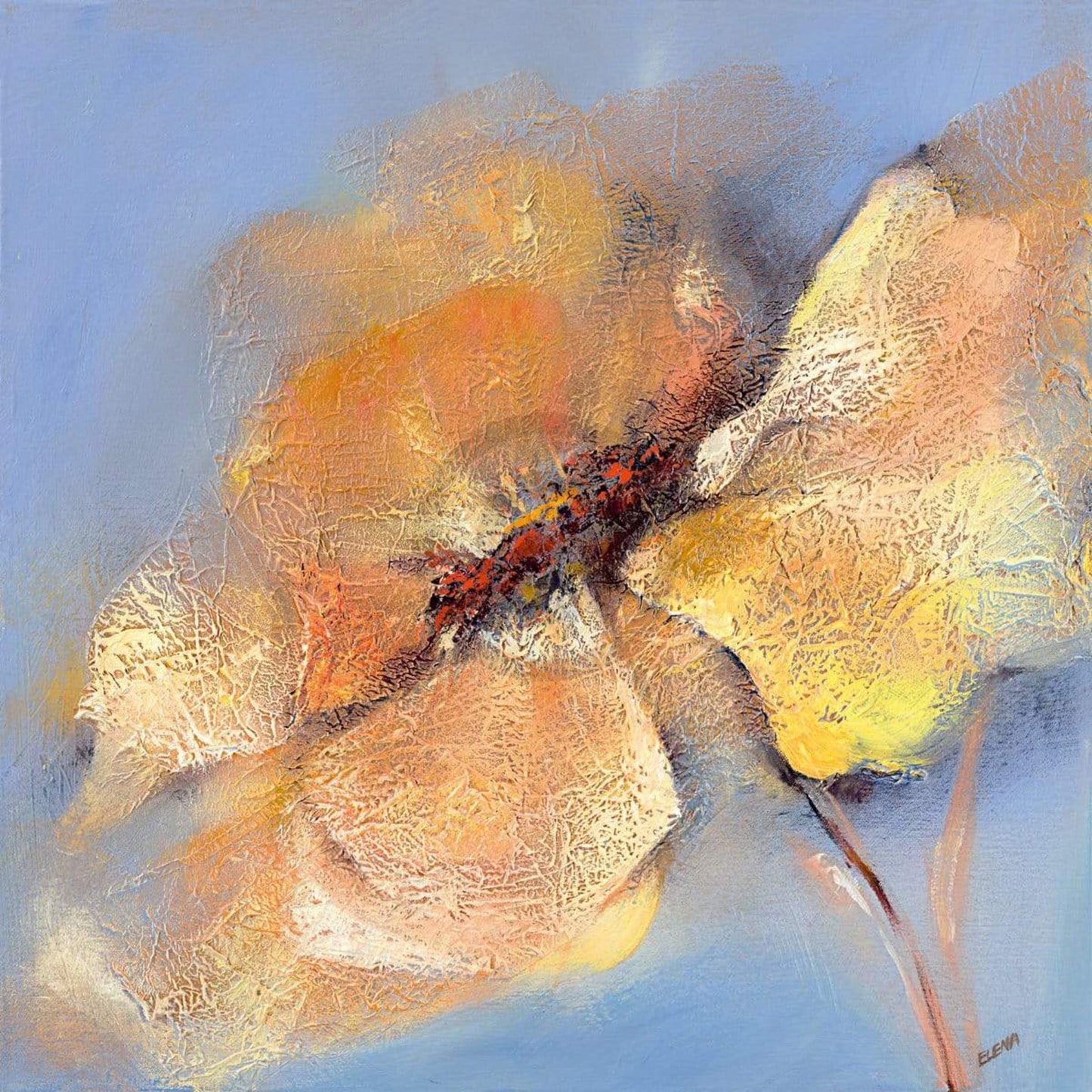 Kunstdruck Elena Filatov - Bright Anemone I 50x50cm