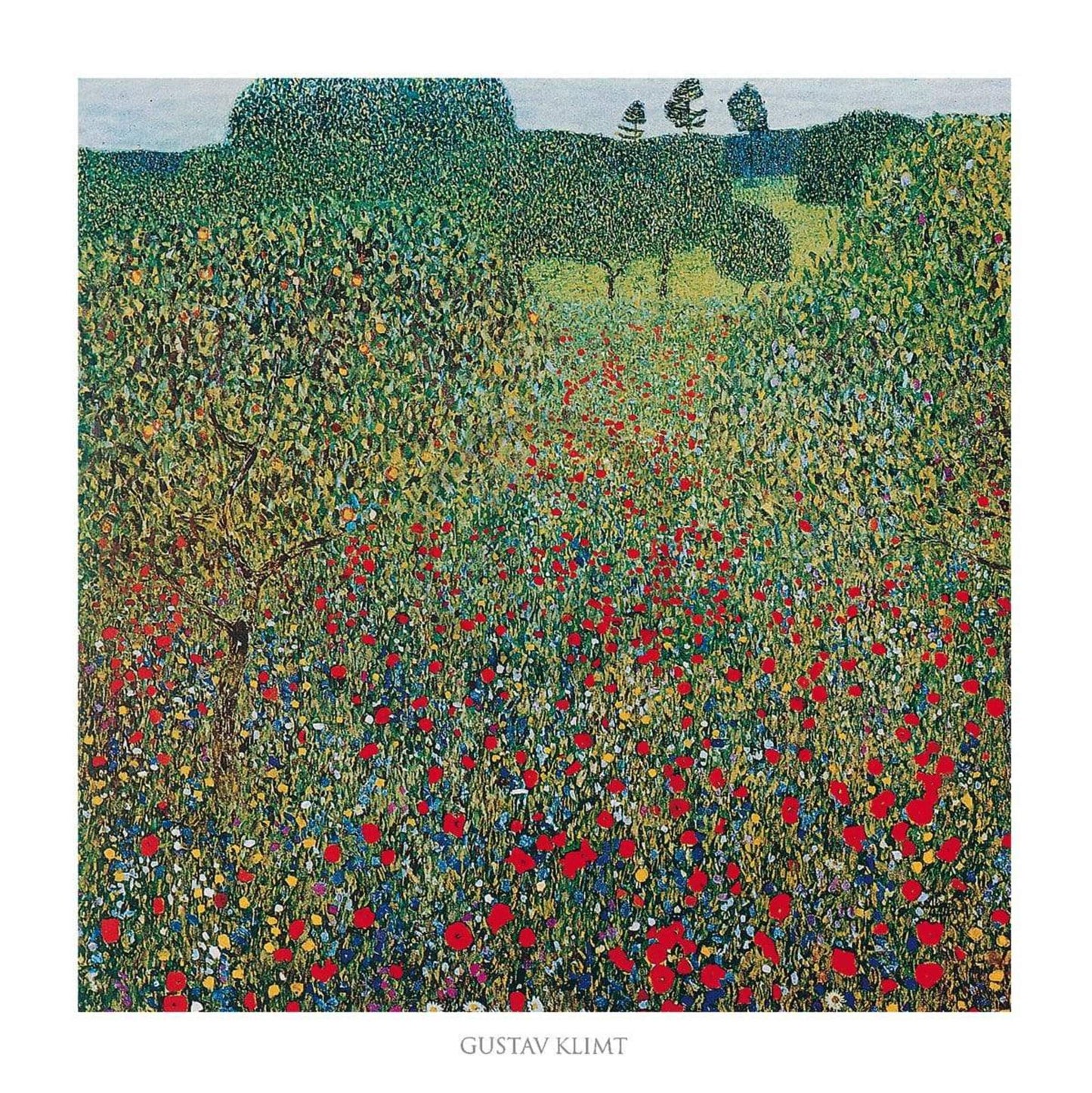 Kunstdruck Gustav Klimt Campo di papaveri 70x70cm