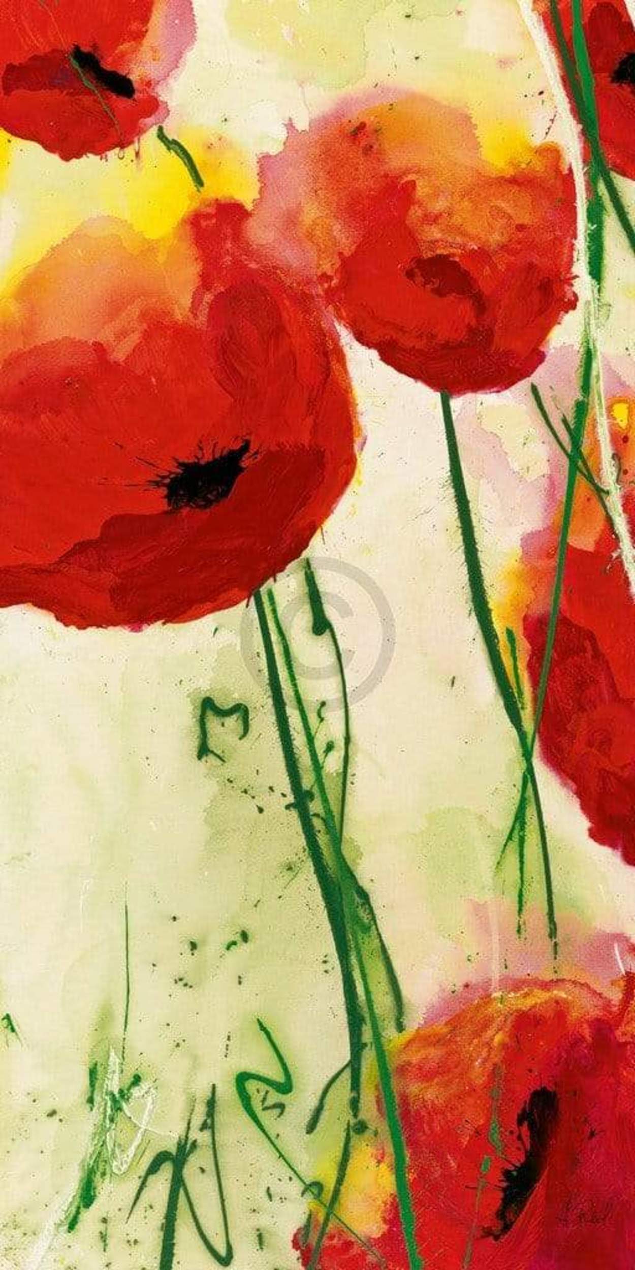 Kunstdruck Heidi Reil - Klatschmohn 50x100cm