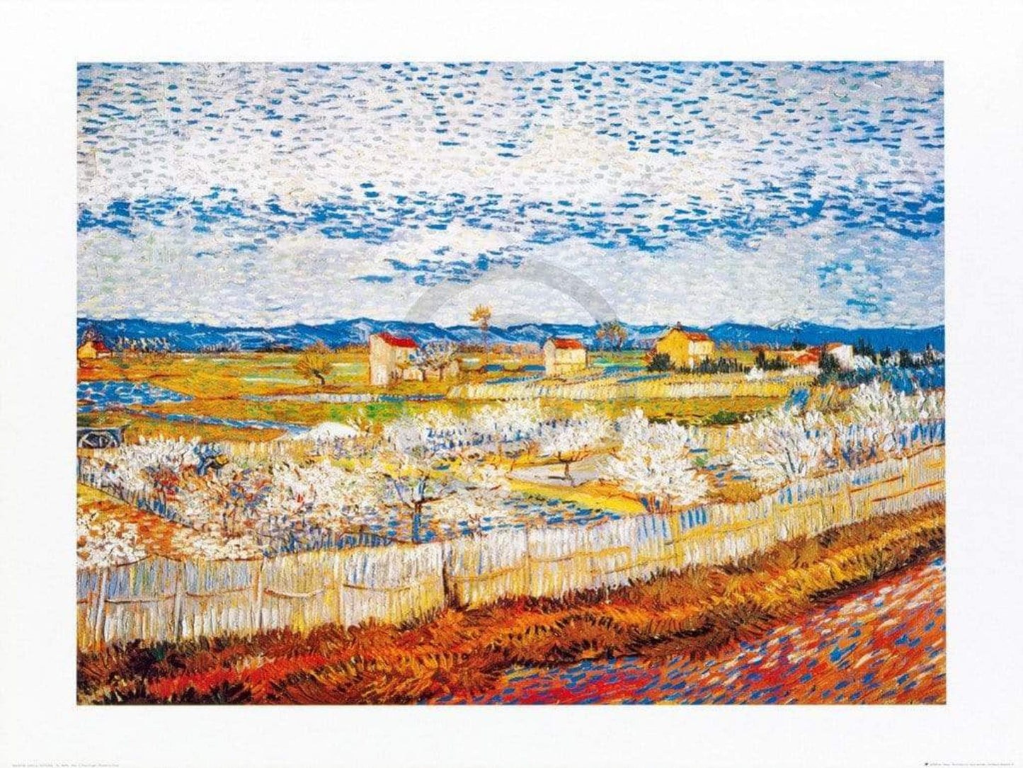 Kunstdruck Vincent Van Gogh - Pesco in fiore 80x60cm