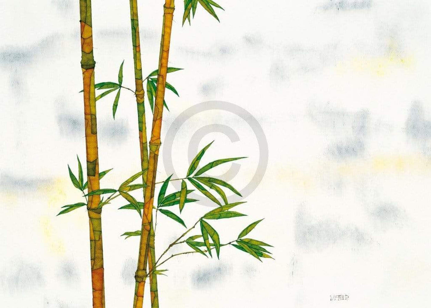 Kunstdruck Michael Ferner - Bambus 70x50cm
