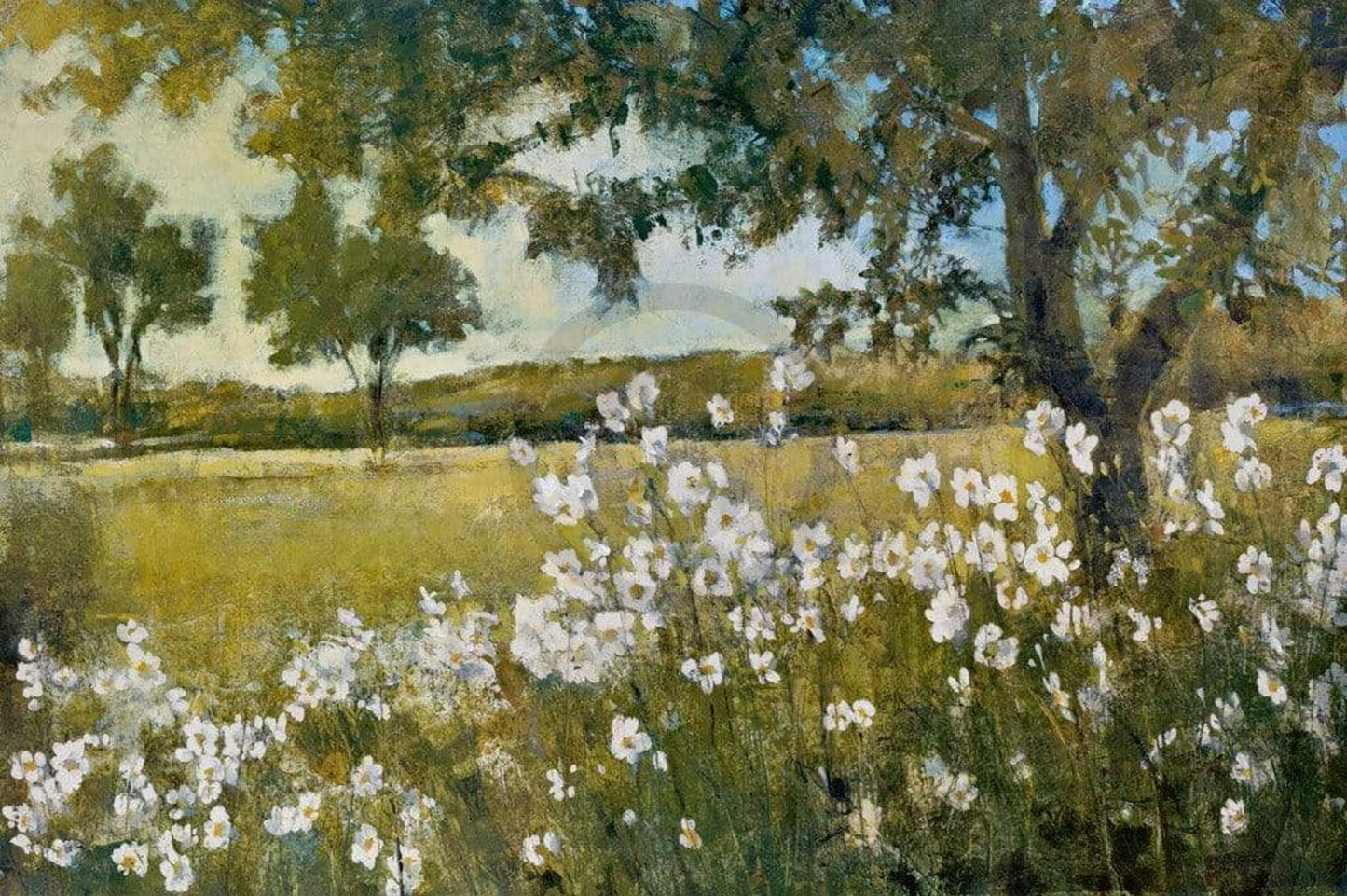 Kunstdruck Patrick - Summer Bloom 91x61cm