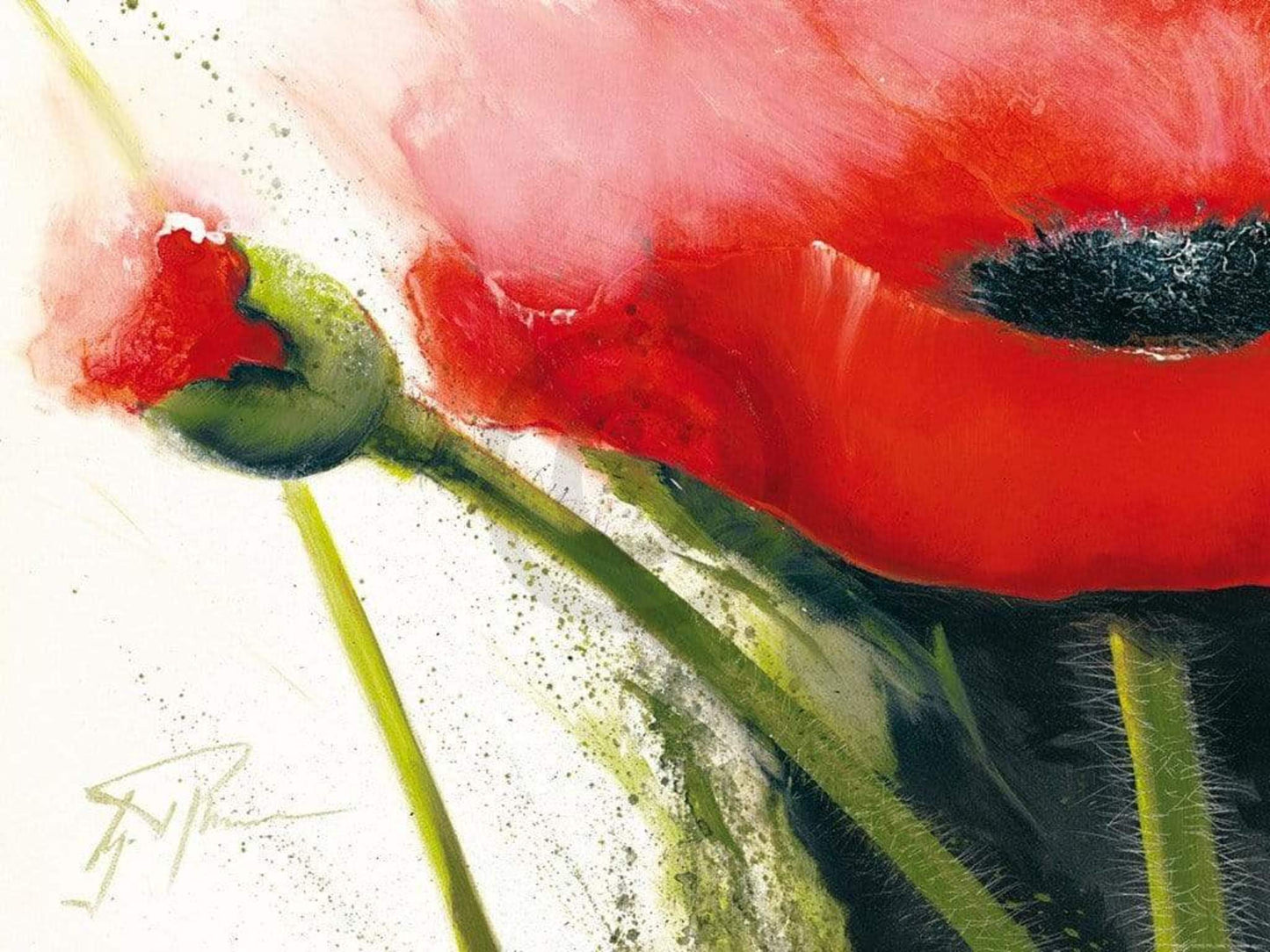 Kunstdruck Gerd Pflumm - Faszination Mohn I 80x60cm