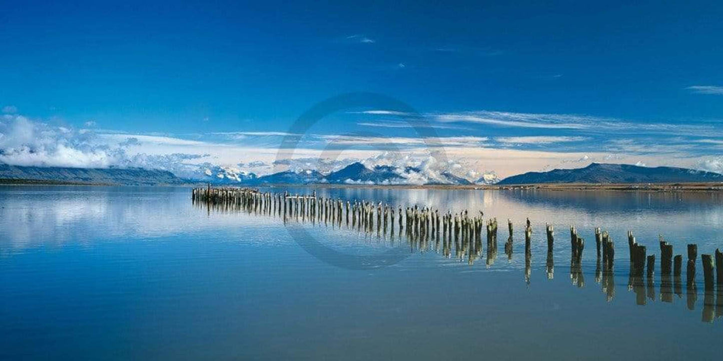 Kunstdruck Popp-Hackner - Kormoräne 100x50cm