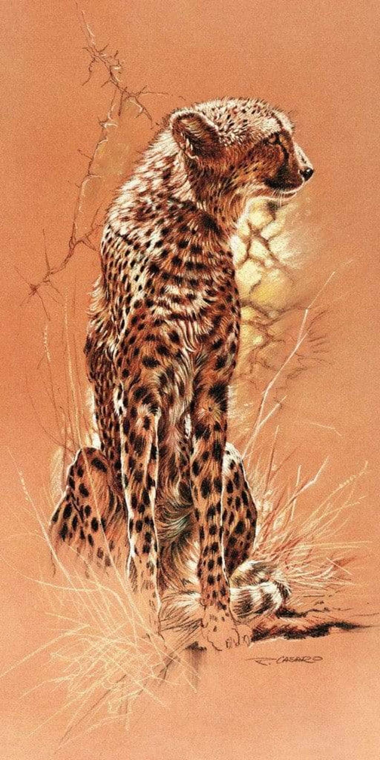 Kunstdruck Renato Casaro - Cheetah 50x100cm