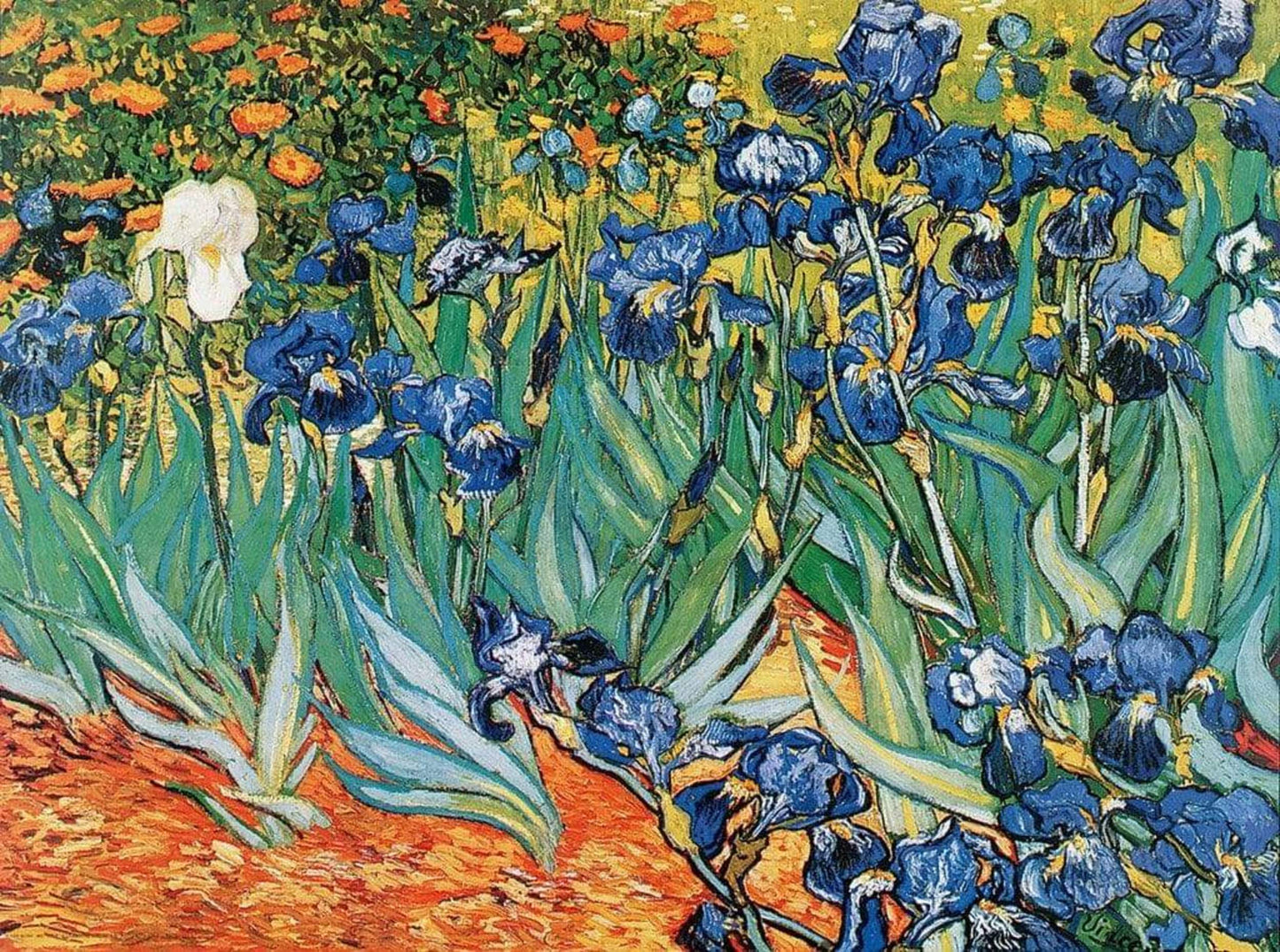 Kunstdruck Vincent Van Gogh - Iris 80x60cm