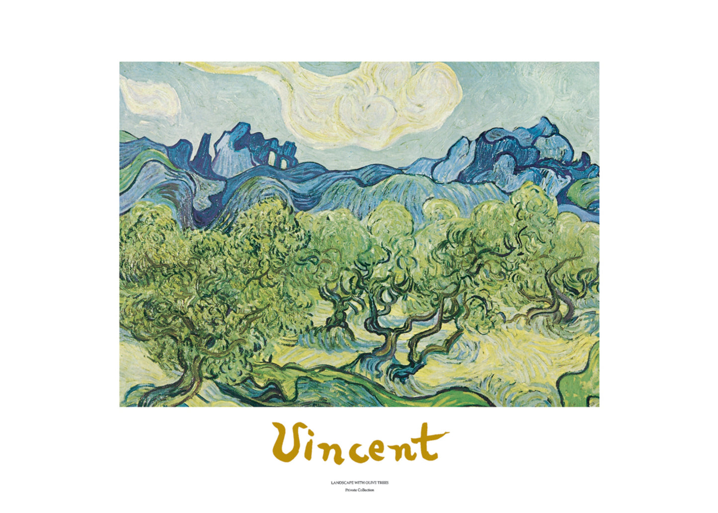Kunstdruck Vincent Van Gogh - Landscapes with olive trees 70x50cm