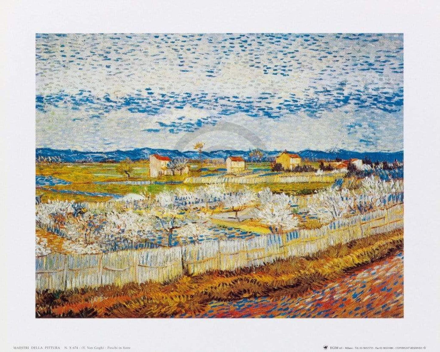 Kunstdruck Vincent Van Gogh - Pesco in fiore 30x24cm