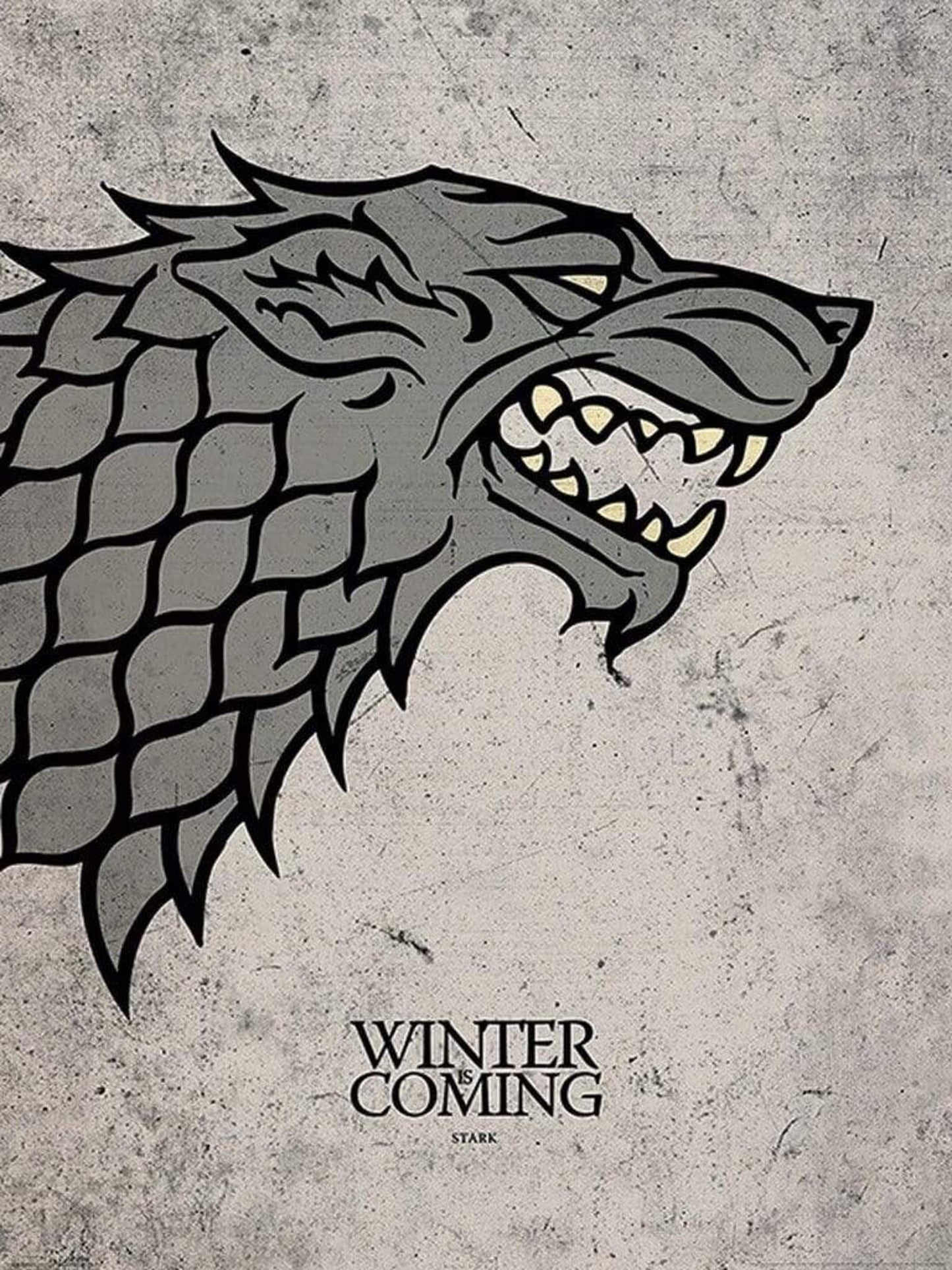 Kunstdruck Game of Thrones Stark 60x80cm
