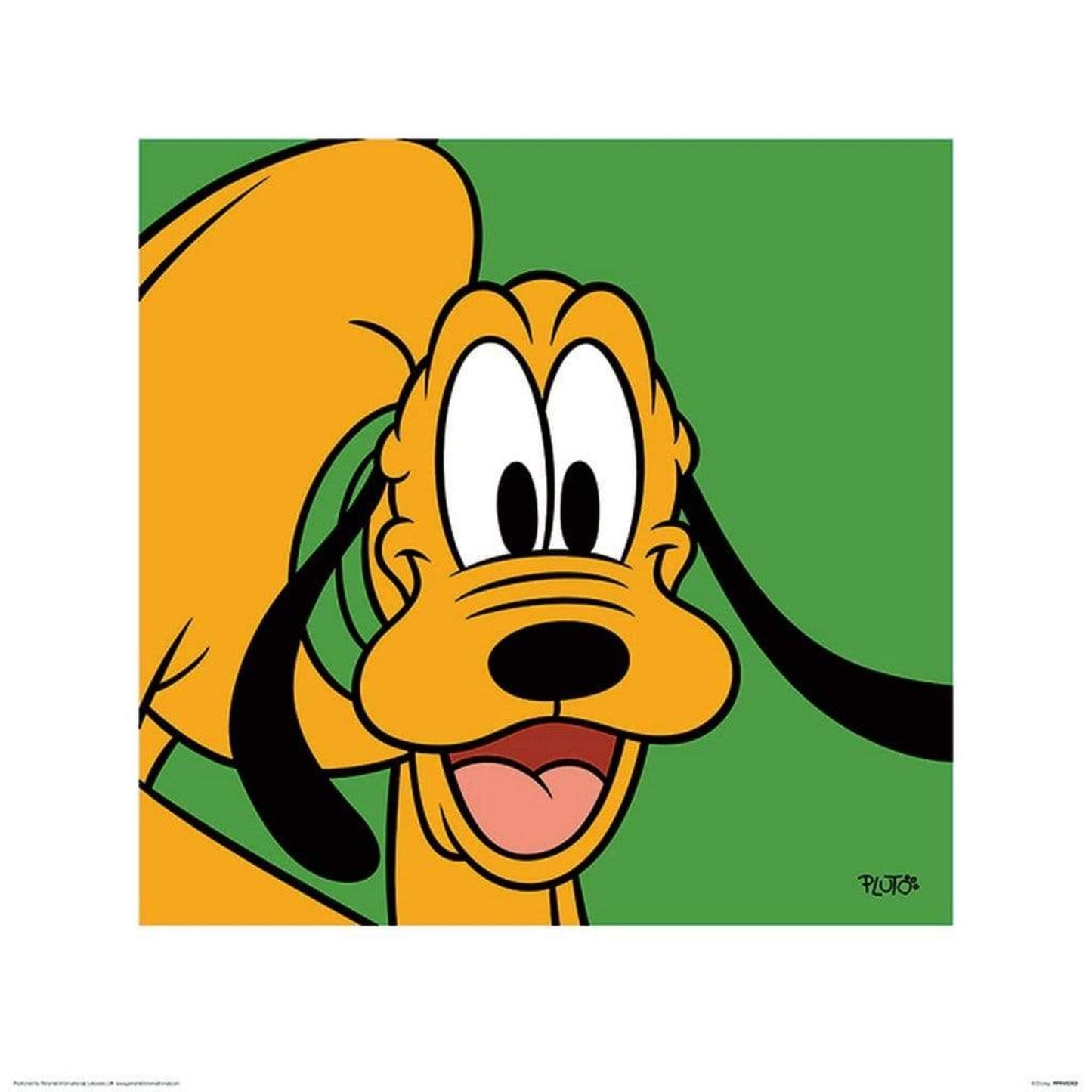 Kunstdruck Pluto Green 40x40cm