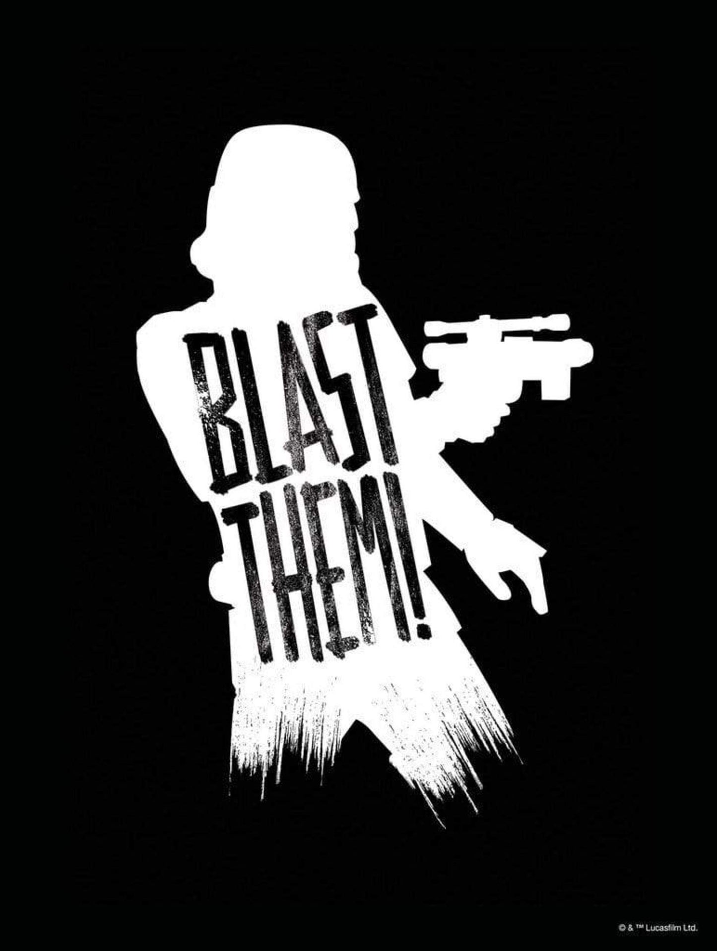 Kunstdruck Star Wars - Silhouette Quotes Stormtrooper 30x40cm