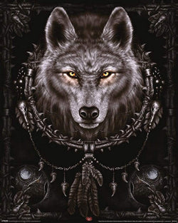 Poster Spiral Wolf Dreams 40x50cm