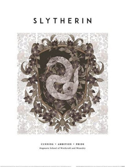Kunstdruck Harry Potter - Slytherin 30x40cm