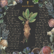 Kunstdruck Harry Potter Yume Fantasy 40x40cm
