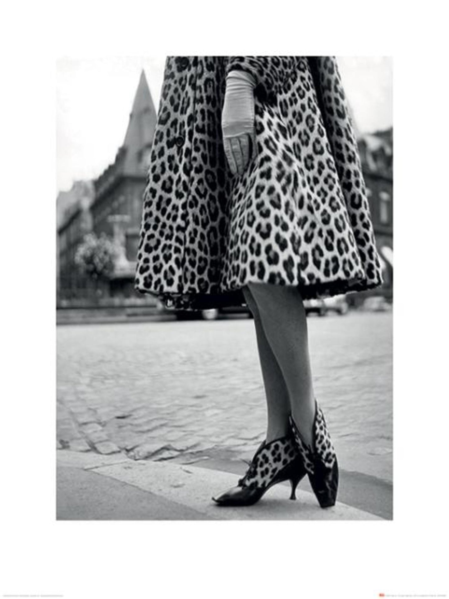 Kunstdruck Time Life Dior Leopard Print 60x80cm