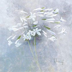 Kunstdruck Franz Heigl - Enchanted I 60x60cm