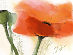 Kunstdruck Gerd Pflumm - Faszination Mohn III 80x60cm