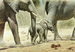Kunstdruck Renato Casaro - Go Baby Go 100x70cm