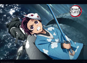 Poster Demon Slayer Tanjiro and Urokodaki 52x38cm
