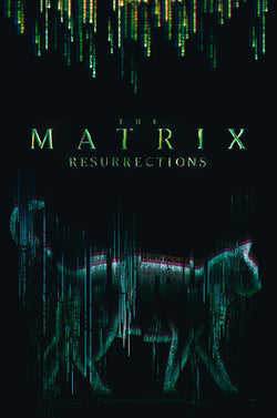 Poster The Matrix - Cat 61x91,5cm
