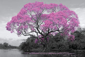Poster Tree Blossom 91,5x61cm