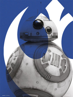 Kunstdruck Star Wars Episode IX BB 8 30x40cm