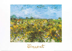 Kunstdruck Vincent Van Gogh - The Green Vineyard 70x50cm