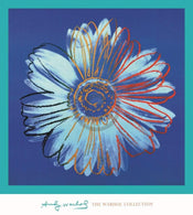 Kunstdruck - Andy Warhol - Daisy 1982 90x90cm