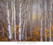 Kunstdruck Charles Cramer - Aspen in Fog 76x66cm