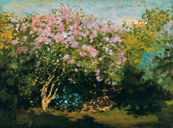 Kunstdruck Claude Monet - Blühender Flieder in der Sonne 80x60cm