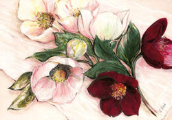 Kunstdruck Elisabeth Krobs - Elegant Anemones 100x70cm