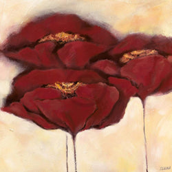 Kunstdruck Elena Filatov - Mohn in Milch I 70x70cm