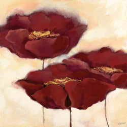 Kunstdruck Elena Filatov - Mohn in Milch II 70x70cm