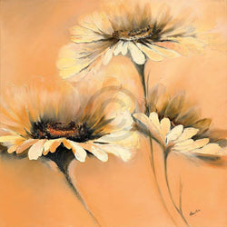 Kunstdruck Elena Filatov - Apricot Summer I 70x70cm