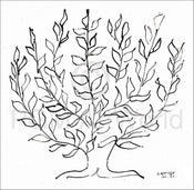 Kunstdruck Henri Matisse - Le platane 100x100cm
