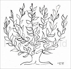 Kunstdruck Henri Matisse - Le platane 100x100cm