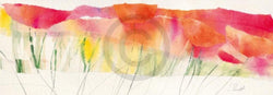 Kunstdruck Marta Peuckert - Poppy ribbon red 100x35cm