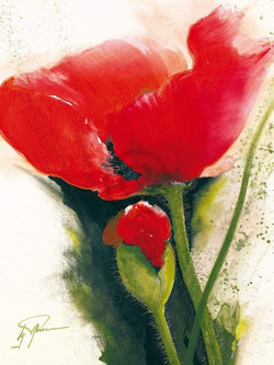Kunstdruck Gerd Pflumm - Faszination Mohn II 60x80cm